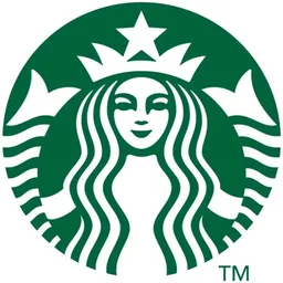 Raster Vectorize logo enlarged beyond its delivery size